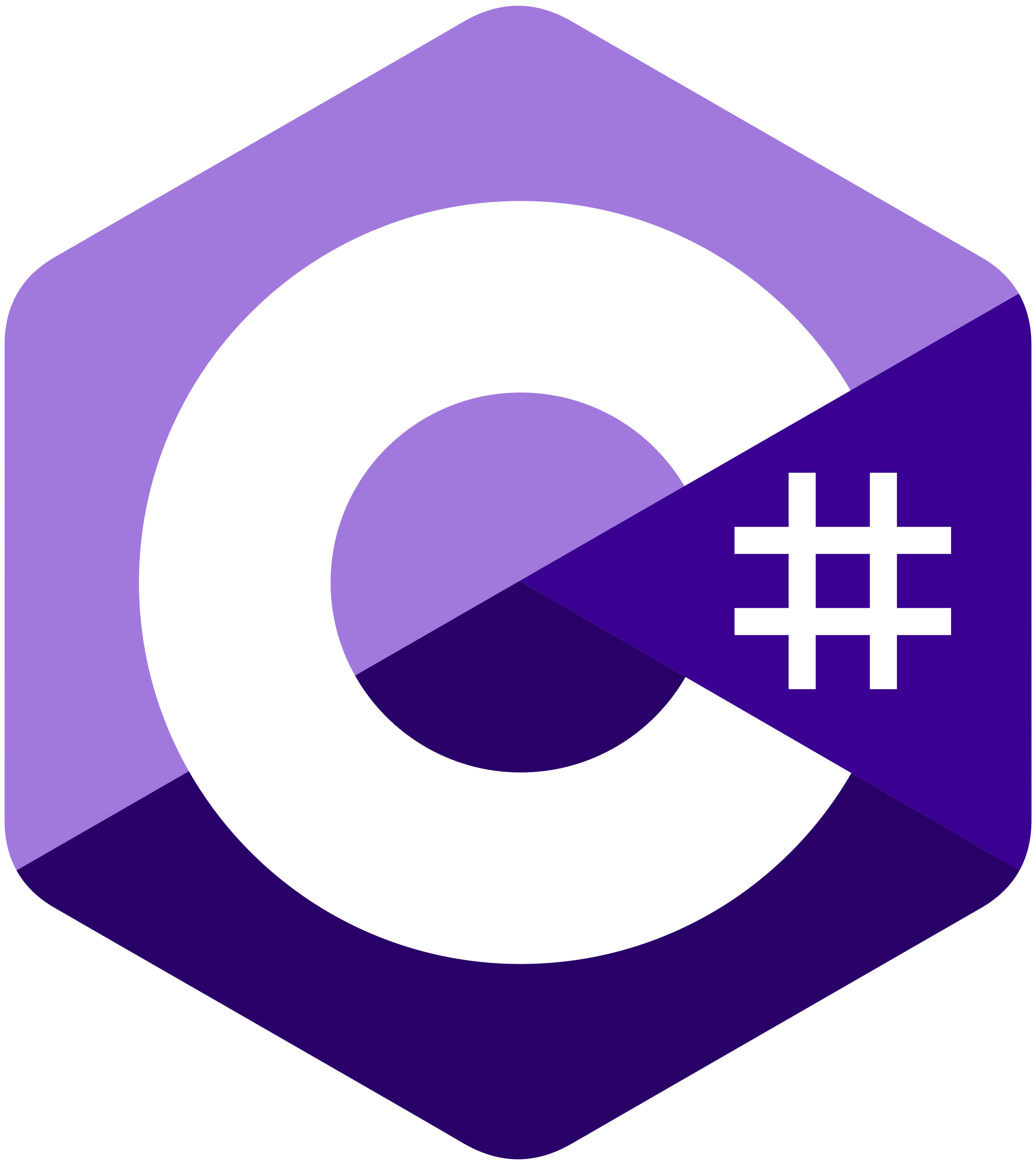 c++ language skill